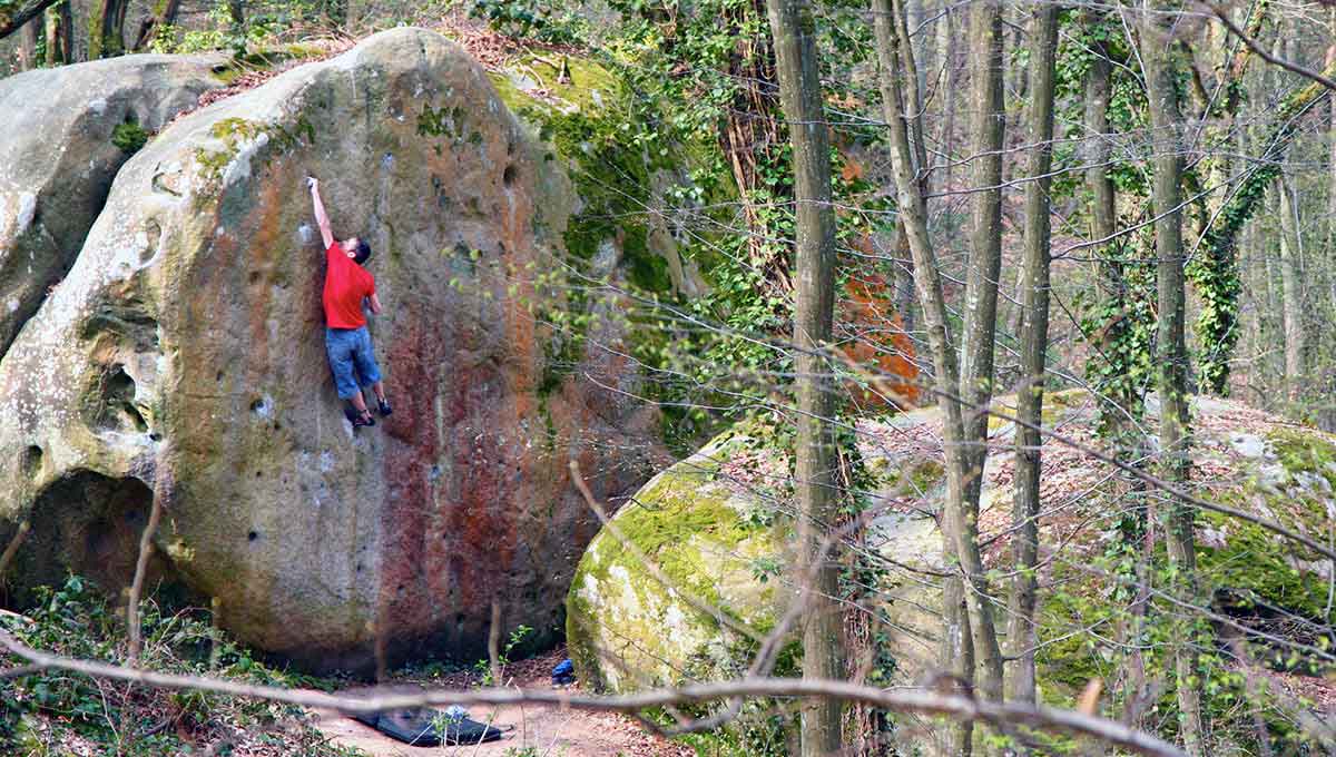 Homme de dos grimpant sur un rocher à Fontainebleau