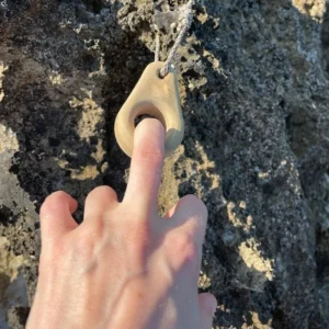 Renforcement musculaire escalade